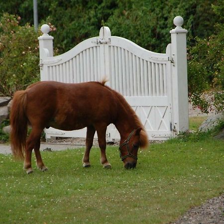 Ostseepferdehof Neukirchen  Bagian luar foto